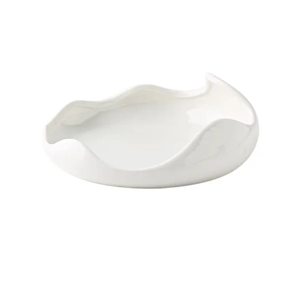 creative irregular plate hosi