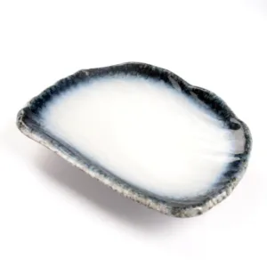 Sushi Dish Hikaru